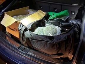 Photos released by the OPP show an estimated eight kilograms of packaged cannabis in an Amazon box, complete with its smiling logo, and what looks like a duffel bag. /