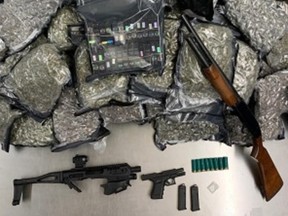 Obtaining a new search warrant, the police found about 33 pounds (15 kilograms) of cannabis, 25 pounds (11.3 kg) of THC product, two handguns and a loaded high-capacity rifle magazine. /