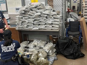 About 73 kilograms of illegal cannabis, $315,000 in cash, four firearms, drug paraphernalia and money counting machines, as well as a truck, were seized. /