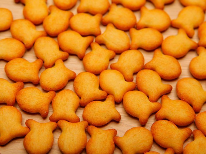 When the police searched the daycare, Goldfish crackers were recovered from around the highchairs of toddlers and sent to the state lab for testing. /