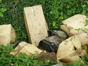 Passeby reports finding cannabis in hedgerow. /