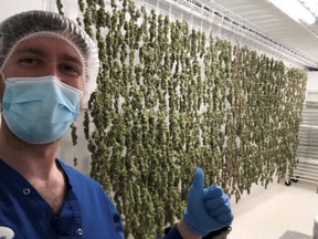 Prairie Trichomes co-founder Adam Carritt is seen in the Prairie Trichomes micro-cultivator cannabis growing operation near Carberry, Man.