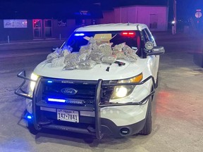 Police image of hood full of cannabis. /