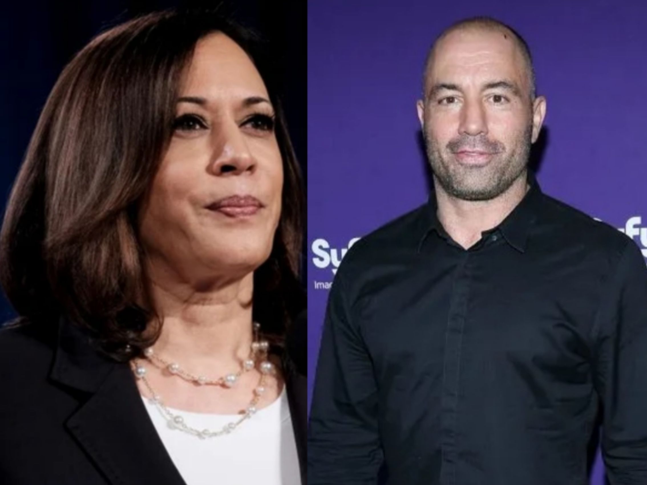 Joe Rogan Calls Out Kamala Harris For Advocating For Brittney Griner's ...