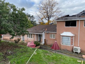 Upon entering the 3,000 square foot structure, which was vacant, firefighters were met by wall-to-wall illegal cannabis plants in compartmentalized rooms. /