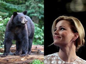 Image for representation. Yes, Cocaine Bear is inspired by a true story, but creative licence allows for much creativity. Pictured right, director of the film, Elizabeth Banks. /