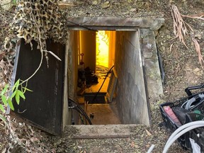 Police found “18 cannabis plants being grown hydroponically in an elaborate underground bunker.” /