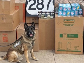 K-9 sniffs out illegal haul of cannabis and magic mushroom-infused treats. /