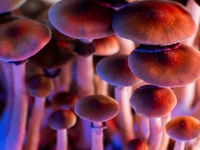 Psychedelics are psychotropic drugs: substances that affect your mental state.