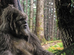 The silent Sasquatch in Letters From The Big Man