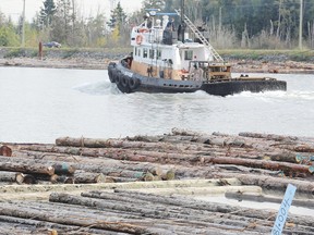 A logboom near the North Bend of the Fraser River in Burnaby on Wednesday,October 12, 2011. Tugboat operators discovered the body of an infant baby boy in a logboom on Tuesday night. Police are asking the mother to get assistance.    (Les Bazso / PNG staff photo)