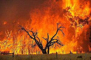   Reno Caughlin Fire / Texas Wildfires: Is Global Warming Slowly Burning The Earth?