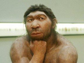 Krog the Neanderthal poses for his personals ad: short, hairy hunter interested in fire, meat, really long walks and shared body warmth, seeks Neander or Sapie gal for LTR or whatever she’ll allow. — AFP FILES