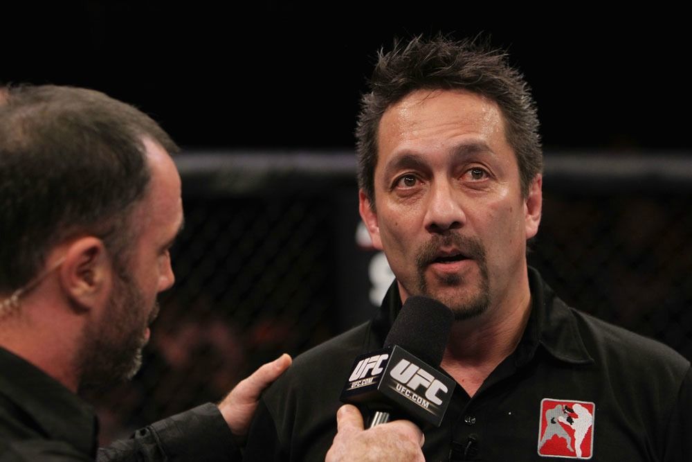 UFC 142 Aftermath Joe Rogan Putting Referee Mario Yamasaki On