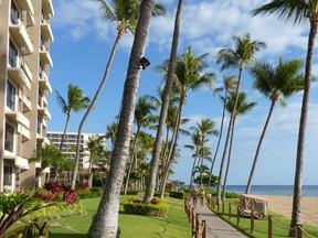 Strolling down the Ka‘anapali boardwalk at sunset a few times will make strolling anywhere else feel like a tedious march of blahness. (MCT FILES)