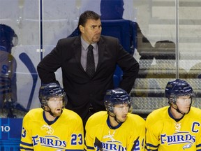 UBC head coach Milan Dragicevic with 'Birds (left to right) Cole Pruden, Marc-Antoine Juneau and Justin McCrae, face the Alberta Golden Bears on Friday and Saturday at the Doug Mitchell Winter Sports Centre. (Bob Frid, UBC Athletics)