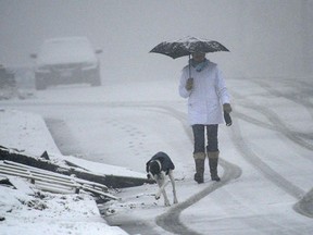 People and pets had to proceed with caution Saturday morning as mixed rain and snow fell in Metro Vancouver. This is on Capitol Hill in Burnaby. (Nick Procaylo, PNG)