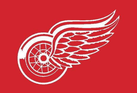 detroit red wings flag 3x51 Canucks/Red Wings Post Game Quotes (I Wish Were Real)