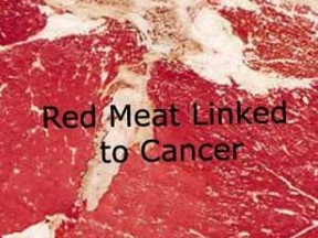 red-meat-cancer-nov08