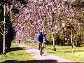 Spring flowers on bike trail