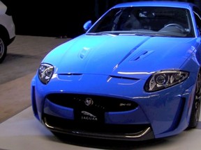 blue-jaguar
