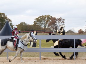 Given the dangers in this week’s Gordzilla column, Province lawyers have advised us to warn readers not to try any of them at home, especially jousting, and even that thing about the stationary bicycle. (Zach Dilgard/HISTORY CHANNEL)