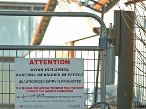 A warning sign is posted at a farm on Lefeuvre Road in Abbotsford in 2009 during an outbreak of avian influenza, New B.C. would ban people from making public suspected or real disease outbreaks on farms. (Arlen Redekop/PNG FILES)