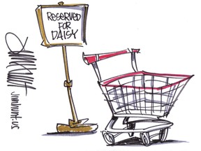 daisy shopping cart