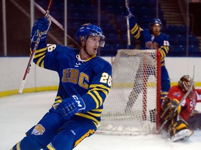 UBC rookie Brad Hoban sits second in team scoring. (Richard Lam, UBC athletics)