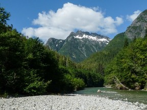 Mariner Mountain can be seen in the background of this photo of Bedwell River in Strathcona Park. The conservation group Friends of Strathcona Park initiated a judicial review set to begin Monday in B.C. Supreme Court over whether the provincial government can ignore public interest in preserving and protecting B.C. parkland. (SUBMITTED PHOTO)