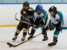 Pee Wee players fight for the puck during a March tournament in Regina. Hockey Canada has banned checking in Pee Wee. (POSTMEDIA NEWS FILES)