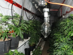 Underground illegal marijuana grow-op discovered by police in Langley last month included five buried interconnected steel shipping containers used for growing the 430 plants seized by police. (HANDOUT PHOTO)