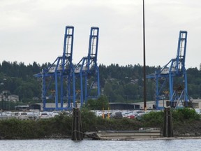 Cranes stand near site of a proposed coal port at Surrey Fraser Docks that many residents oppose. (Arlen Redekop/PNG FILES)