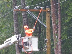 The public appreciate B.C. Hydro crews repair of downed power lines, but the very high wages being paid are raising eyebrows. (TIMES COLONIST FILES)