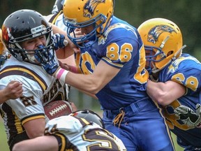 West Vancouver running back Anthony Oswald feels the force of the Handsworth Royals' defence, led by Colin Embree (86), during Triple A Western Conference game played last Friday in North Vancouver. (Photo -- Blair Shier, Handsworth athletics)