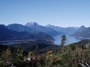 One view of part of the tree farm licence owned by Mission, one of only two towns in B.C. with a TFL. Author Ben Parfitt is among those concerned about a small number of large forest companies gaining even greater control over B.C.’s publicly-owned forests. (PNG FILES)