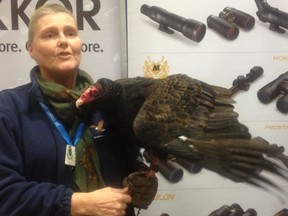 A visitor to the Nikon booth at London Drugs' tech trade show in Whistler.