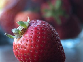 A fresh B.C. strawberry from Maan Farms.