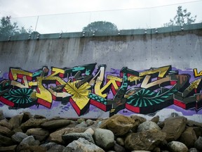 Public reaction has been mixed to Yogawear king Chip Wilson and his wife's decision to have hired someone to spray graffiti on their seawall without a permit. (Jenelle Schneider/PNG)