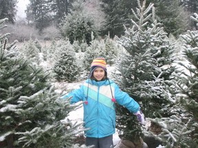 Tree-hunting at Alouette Christmas Tree Farm.