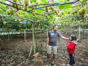 George Petkov and his nine-year-old daughter Sara share a smile in their kiwi vineyard in Abbotsford in August.