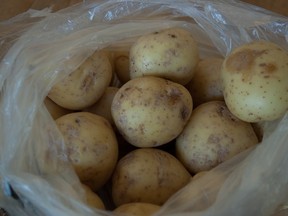 B.C. nugget potatoes.