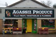 Review - Agassiz Produce, Agassiz (including address and hours) | The Province