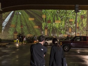 Aerial Fields by artist Sylvia Grace Borda is projected on the Surrey Urban Screen until Jan. 19.