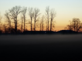 Fog hovers over an Abbotsford field at sunset on one of the shortest days of the year.