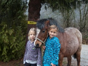 Seven-year-old twins Constance and Veronica Robberstad take their pony Apples for a walk.