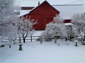 Red barn, white snow at Farm House Natural Cheeses in Agassiz.