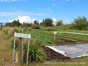 Students in the Richmond Farm School do field studies at The Sharing Farm.