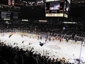 The bears come down during the Vancouver Giants' 2009 Teddy Bear Toss.