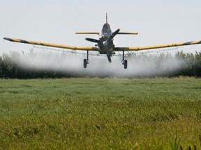 A crop duster sprays a canola field near Highway 11, 20 kilometres north of Saskatoon, Sask., in August. Almost all canola in Canada is grown with much less use of herbicides and pesticides by using genetically engineered varieties of the plant. (STAR PHOENIX FILES)